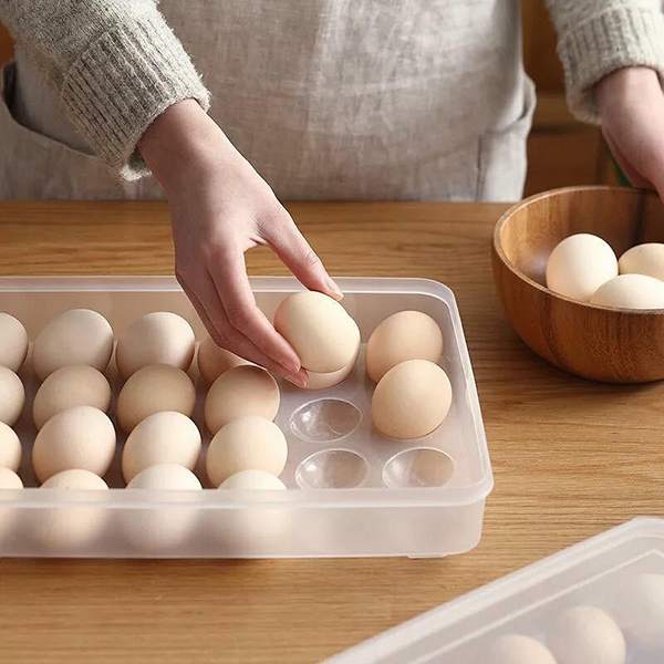 Hộp đựng trứng 24 quả có nắp đậy Việt Nhật 6786 cao cấp BA589